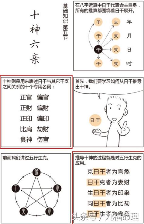 八字六親|八字命理的基礎知識之六親定位